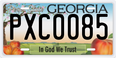 GA license plate PXC0085