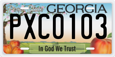 GA license plate PXC0103