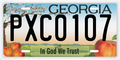 GA license plate PXC0107