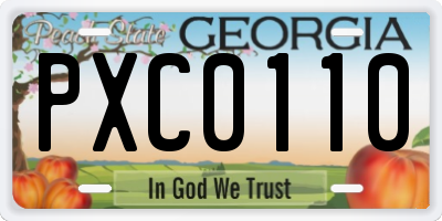 GA license plate PXC0110