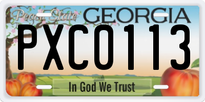GA license plate PXC0113