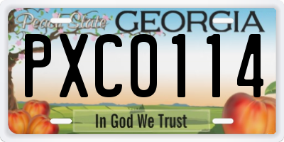 GA license plate PXC0114