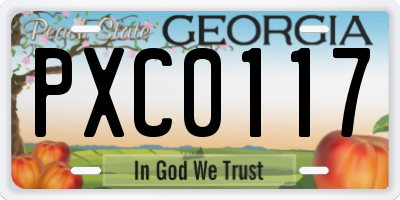 GA license plate PXC0117