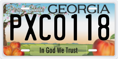 GA license plate PXC0118