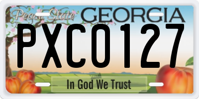 GA license plate PXC0127