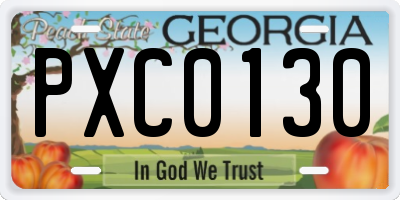 GA license plate PXC0130