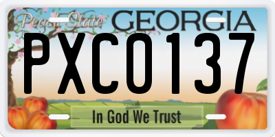GA license plate PXC0137