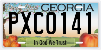 GA license plate PXC0141