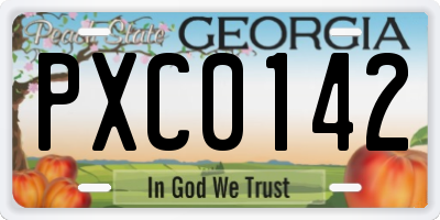GA license plate PXC0142