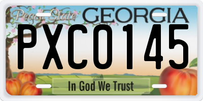 GA license plate PXC0145
