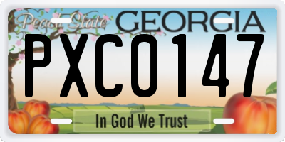 GA license plate PXC0147