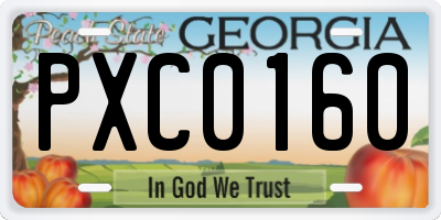 GA license plate PXC0160