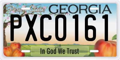 GA license plate PXC0161