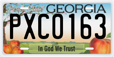 GA license plate PXC0163