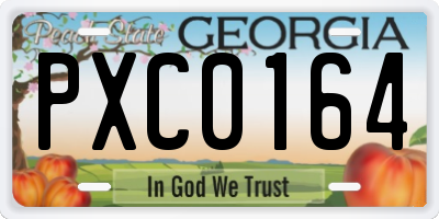 GA license plate PXC0164