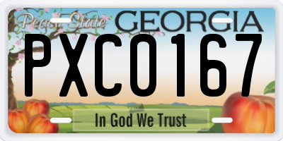 GA license plate PXC0167