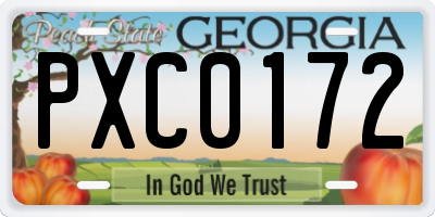 GA license plate PXC0172