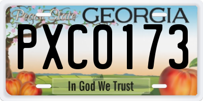 GA license plate PXC0173