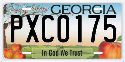 GA license plate PXC0175