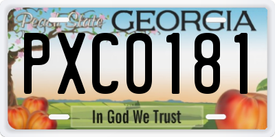 GA license plate PXC0181