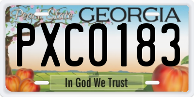 GA license plate PXC0183