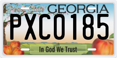 GA license plate PXC0185