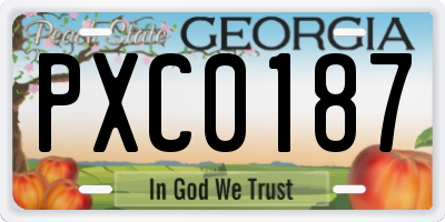 GA license plate PXC0187