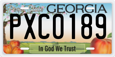 GA license plate PXC0189