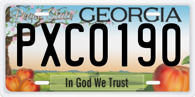 GA license plate PXC0190