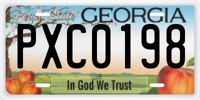 GA license plate PXC0198