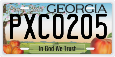 GA license plate PXC0205