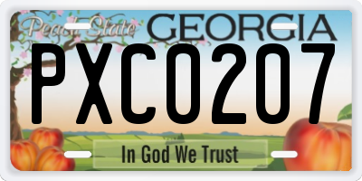 GA license plate PXC0207