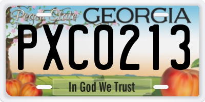 GA license plate PXC0213