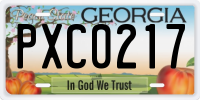 GA license plate PXC0217