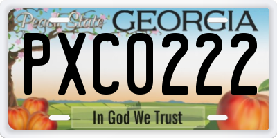 GA license plate PXC0222