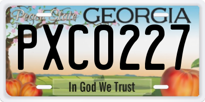 GA license plate PXC0227