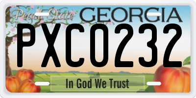GA license plate PXC0232