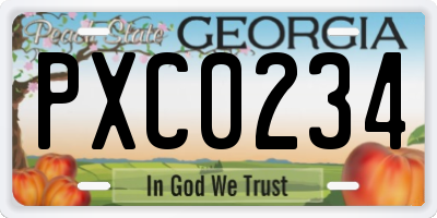 GA license plate PXC0234