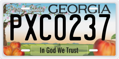 GA license plate PXC0237
