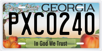 GA license plate PXC0240