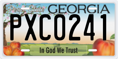GA license plate PXC0241