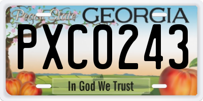 GA license plate PXC0243