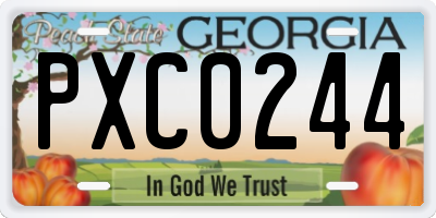 GA license plate PXC0244