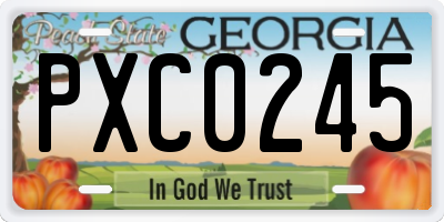 GA license plate PXC0245