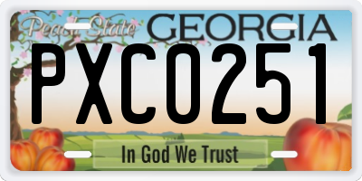 GA license plate PXC0251