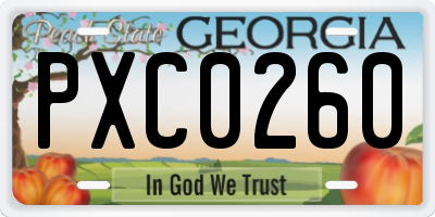 GA license plate PXC0260