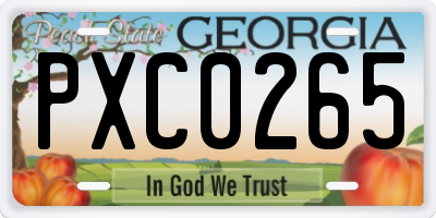 GA license plate PXC0265