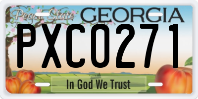 GA license plate PXC0271