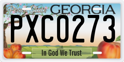 GA license plate PXC0273