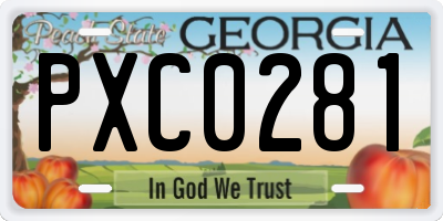 GA license plate PXC0281